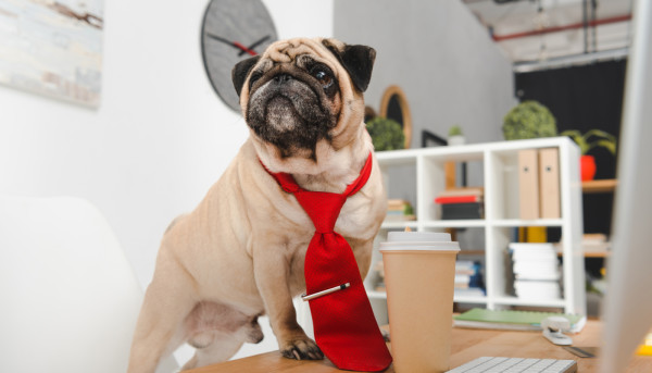 Buying a Home - What Required Documents and Paperwork Youll Need Prior to Meeting the Lender